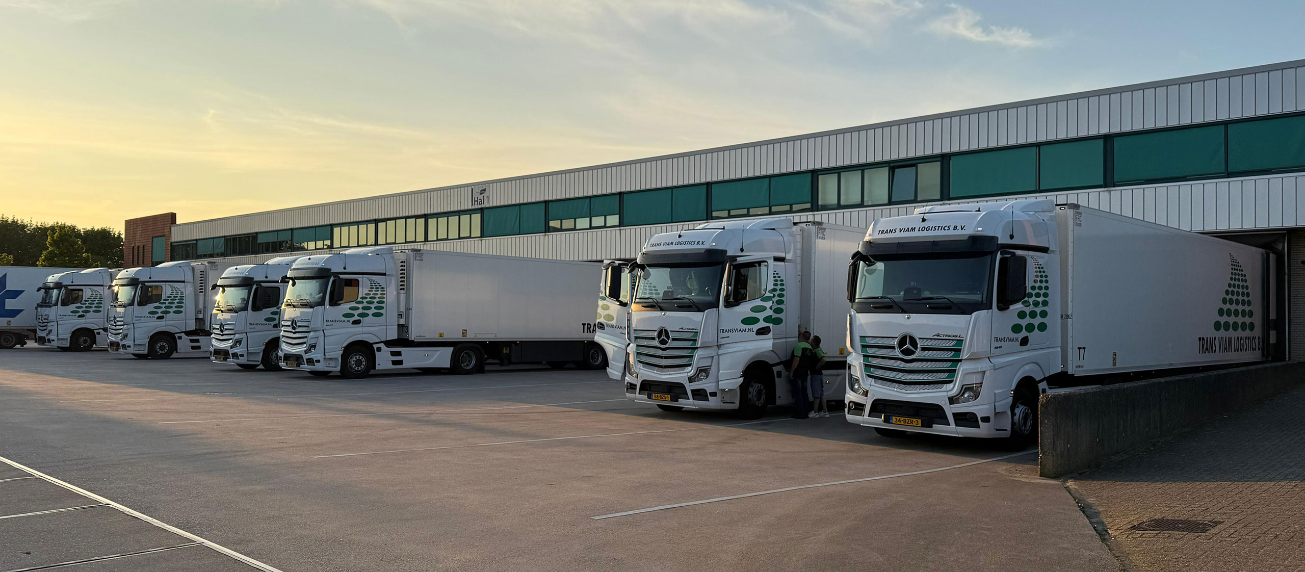 transviam-trucks-2025_09_29_1 Avada Car Dealership